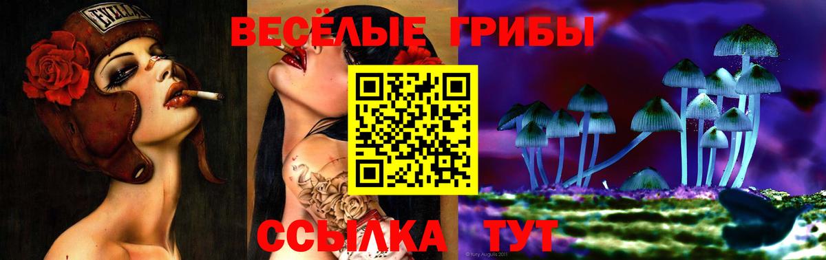 продажа наркотиков  Галлюциногенные грибы мицелий  Галлюциногенные грибы Psilocybine cubensis  Вход с VPN  Наро-Фоминск 